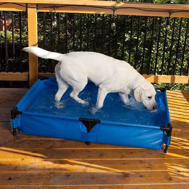 Pet Pool I2453