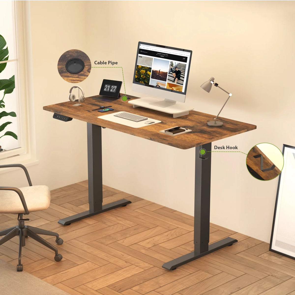 48 x 24 Inch Electric Standing Desk Y5586