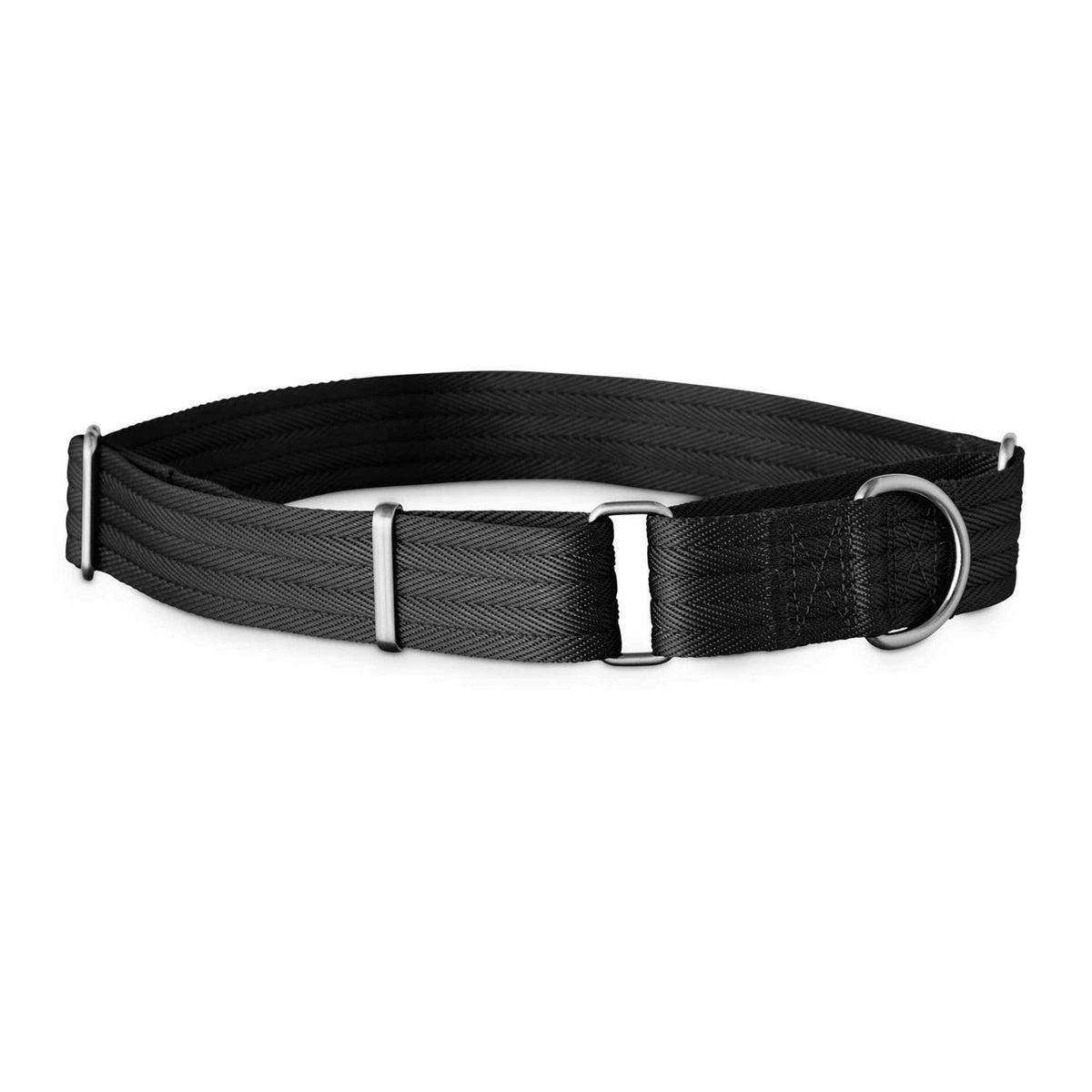 Martingale Dog Collar D601