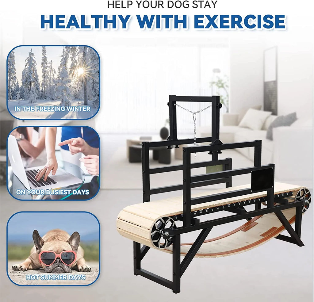 Dog Treadmill 10MPH U54001