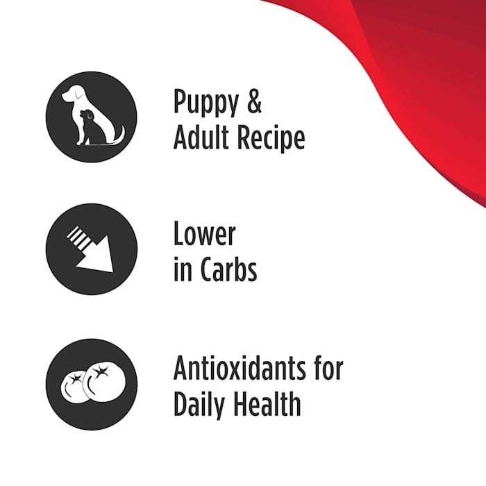 Grain Free Turkey Dog Food Y817062