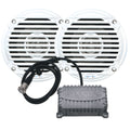 Bluetooth Amplifier Package with 2-Channel Speakers F395
