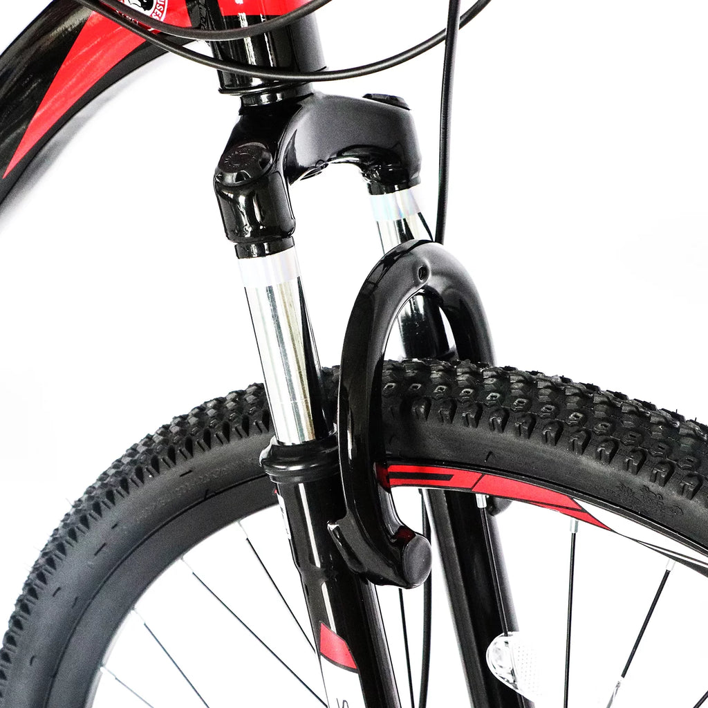 21 Speeds 26-inch Wheels Disc Brakes Mountain Bike P25639