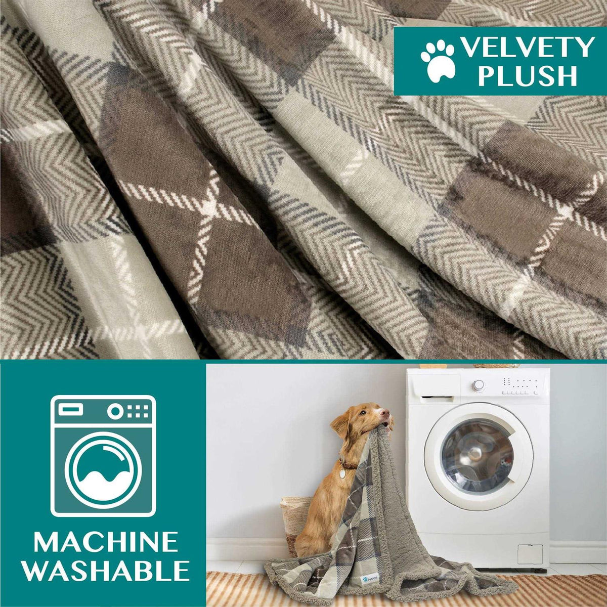 Dog Blanket G9857