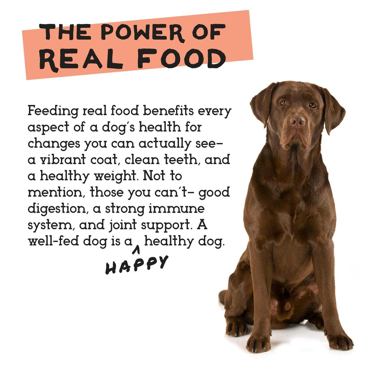 Freeze-Dried Chicken & Turkey Dog Food R79782