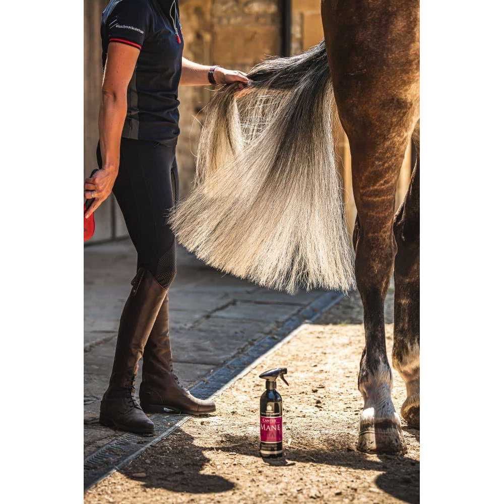 Mane & Tail Conditioner M537743