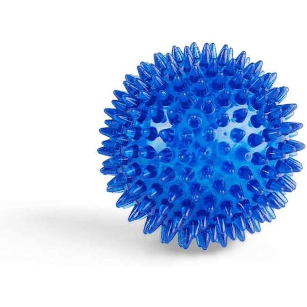 Spiny Ball Dog Chew Toy W599
