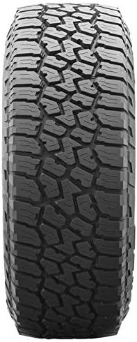 265/70R17 All-Terrain Radial Tire F592400