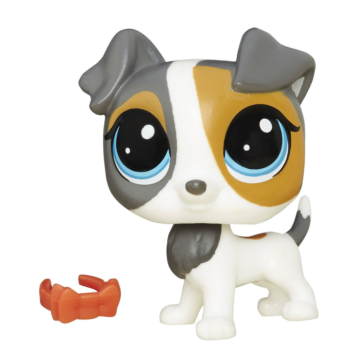 Jack Russell R220