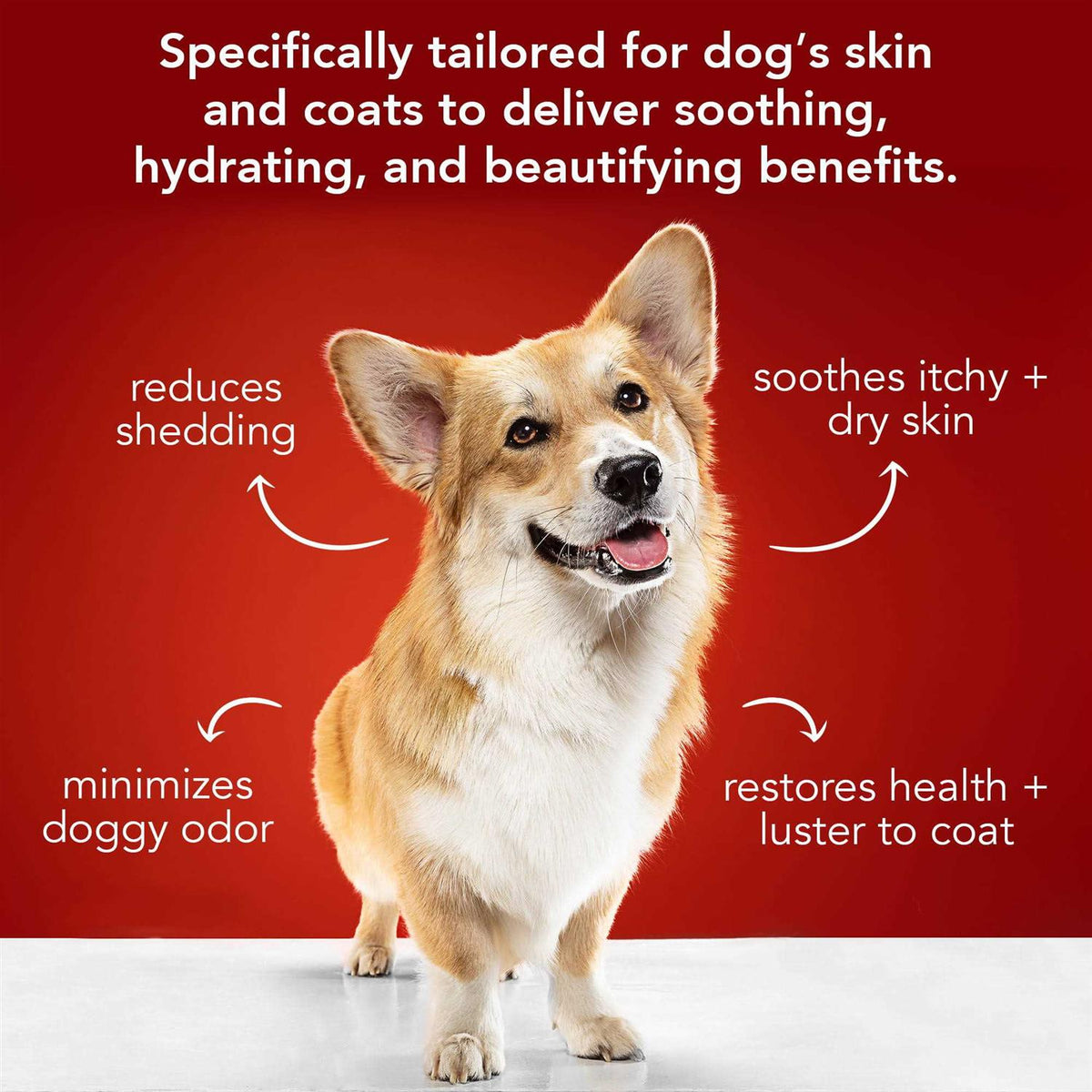 Dog Shampoo I696